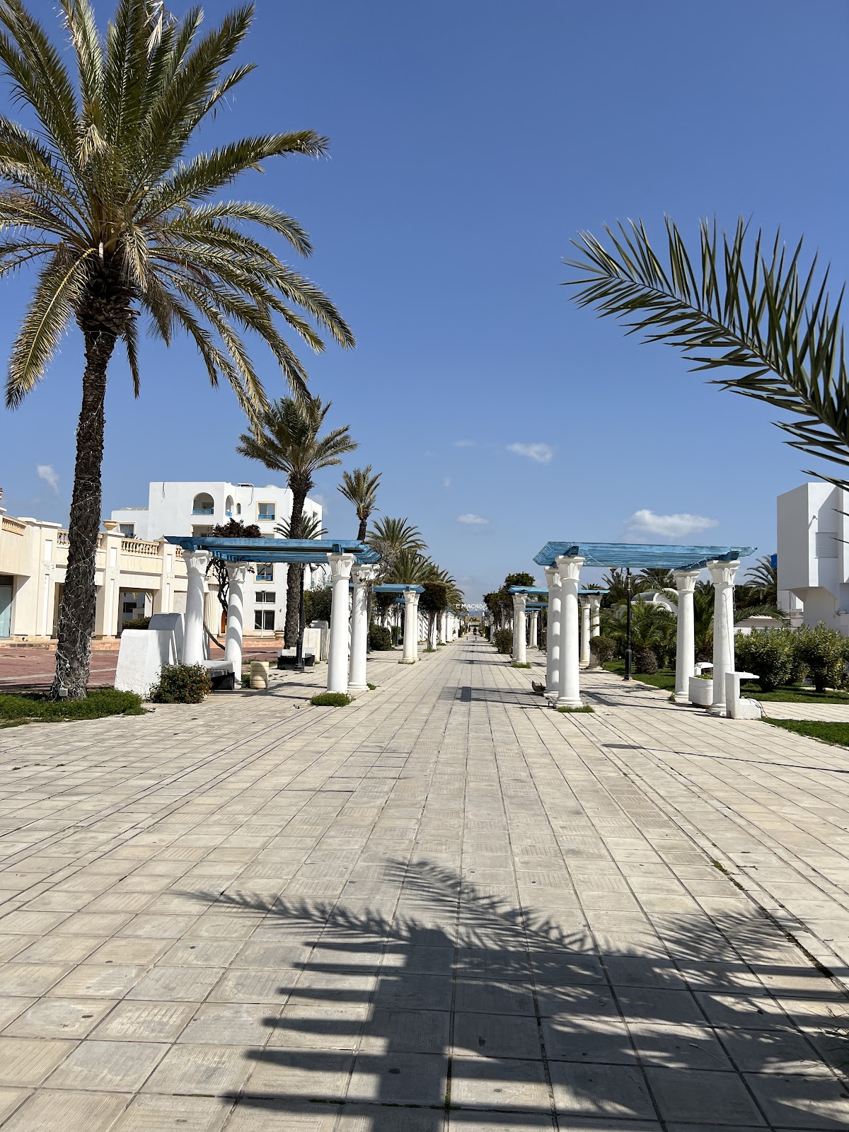 Hammamet Grand Week Explorer