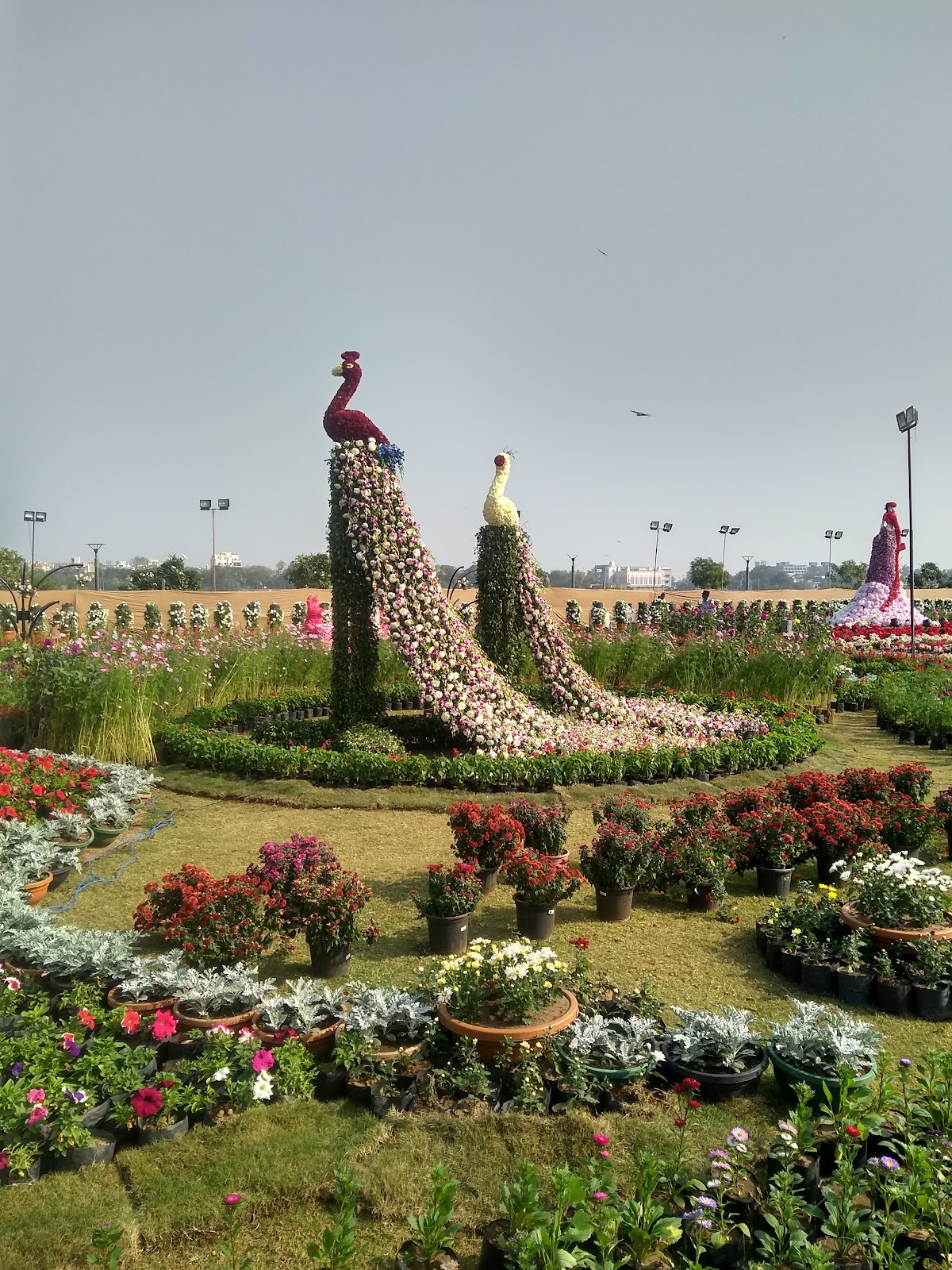 Sabarmati Riverfront Event Centre 1