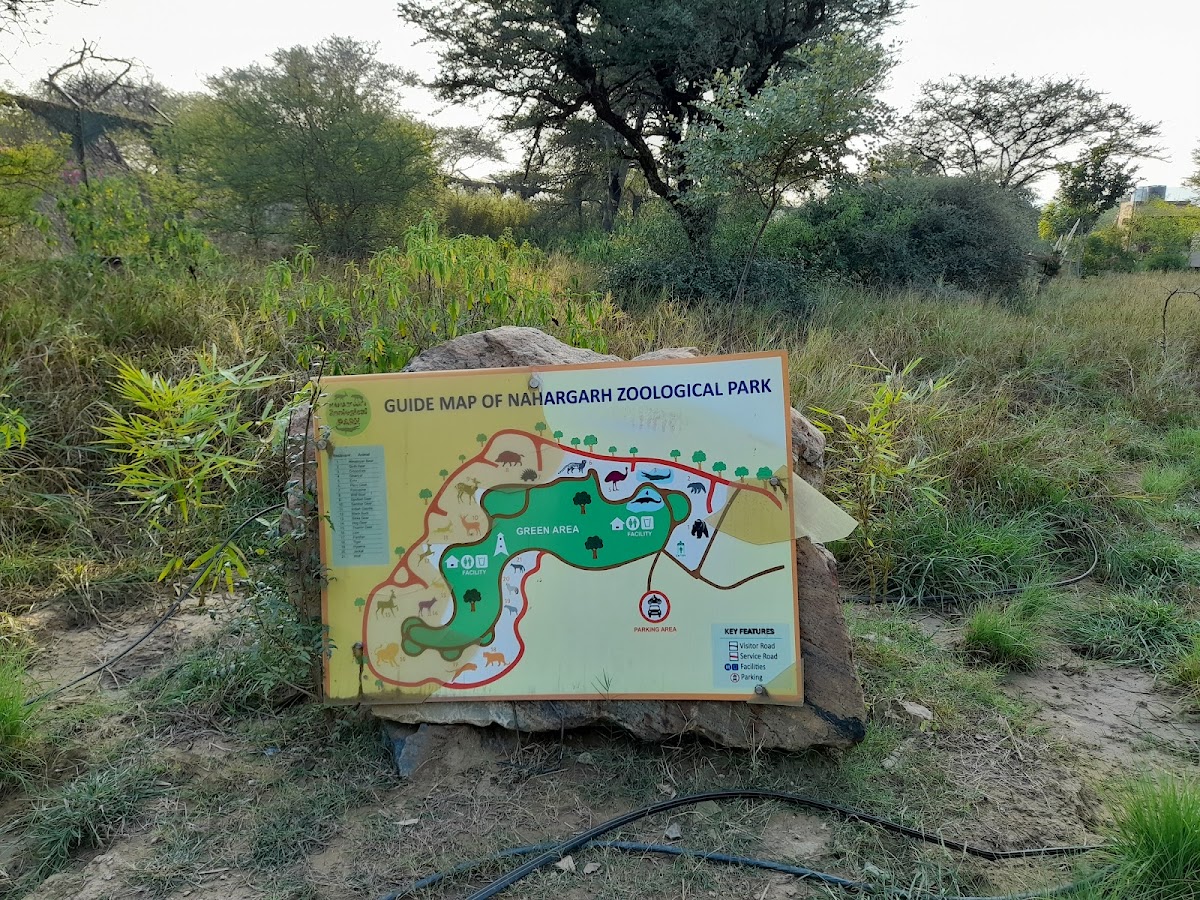 Nahargarh Biological Park