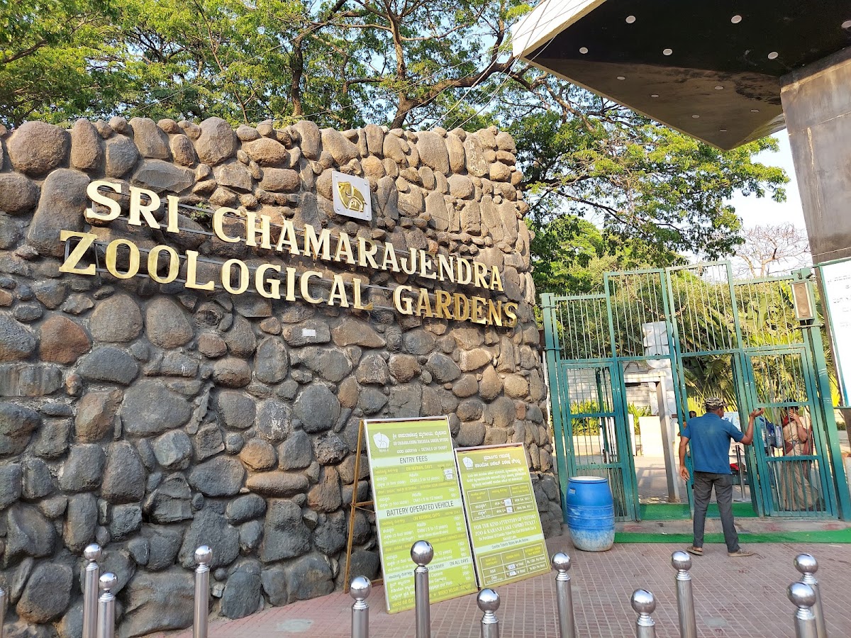 Chennai Cultural Experience