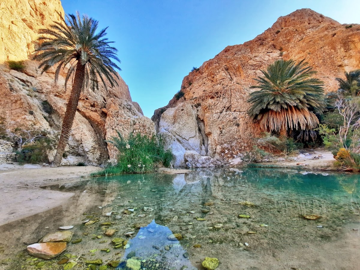 Chebika Oasis photo 1