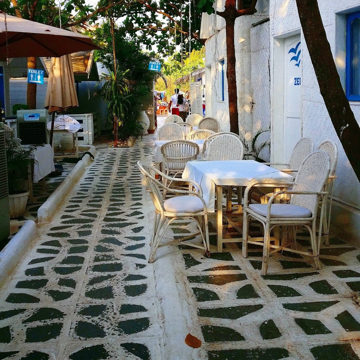 Thalassa