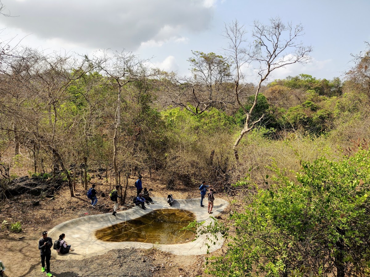 Sanjay Gandhi National Park 1