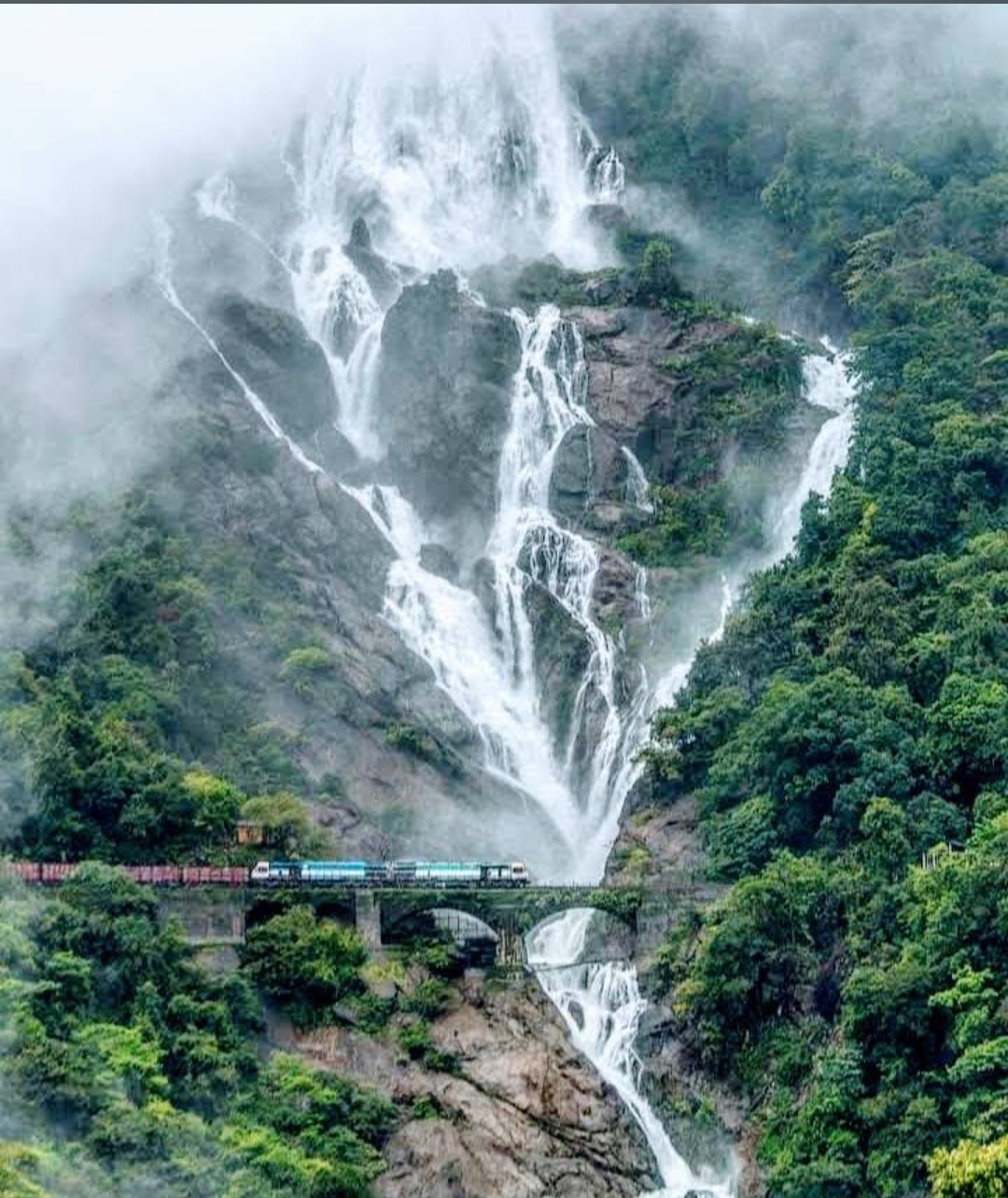 Goa