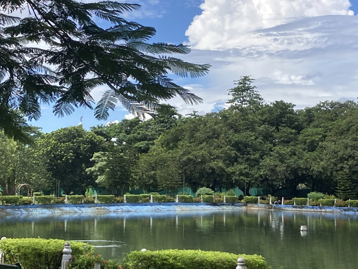 Elliot Park 1